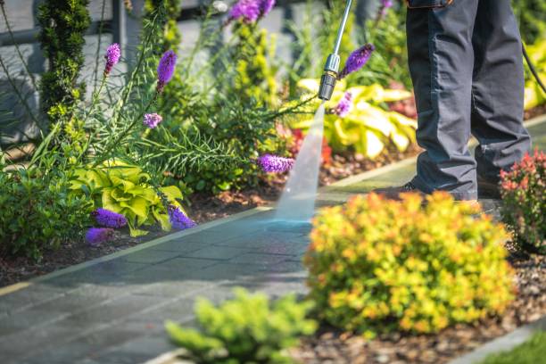 Reliable Blanchard, LA Pressure Washing Services Solutions