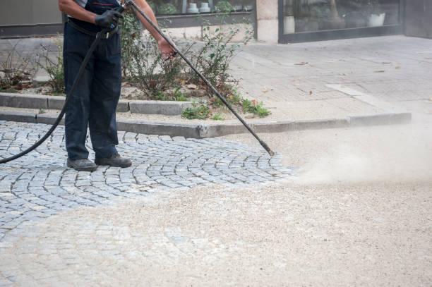 Best Boat and Dock Cleaning  in Bnchard, LA