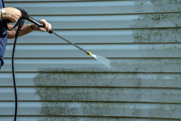 Best Gutter Cleaning  in Bnchard, LA
